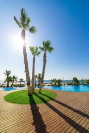 New-Build-Apartment-for-Sale-in-Punta-Prima--2---Canva-