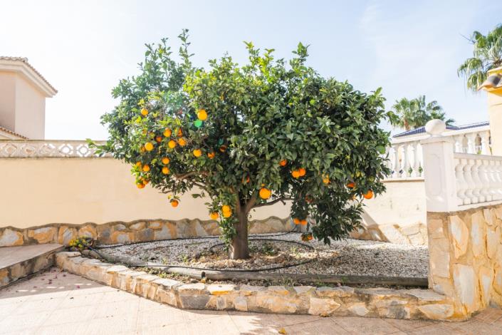 Image No.55-Villa de 4 chambres à vendre à La Marina