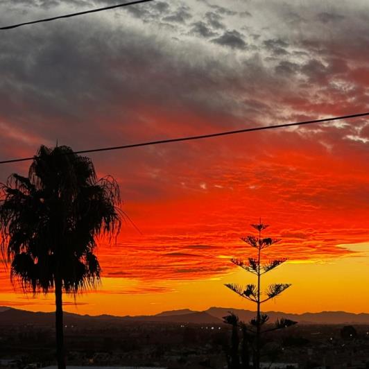 Image No.12-Villa de 2 chambres à vendre à La Marina