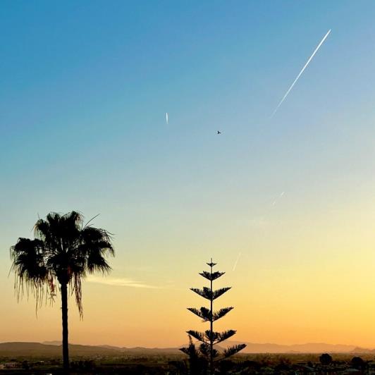 Image No.40-Villa de 2 chambres à vendre à La Marina