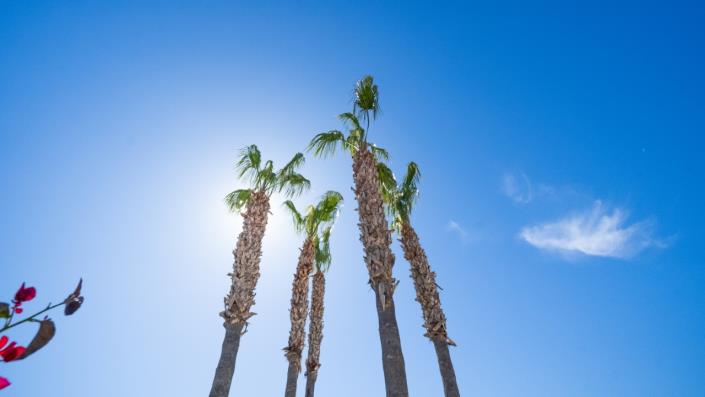 Image No.5-Villa de 3 chambres à vendre à La Marina