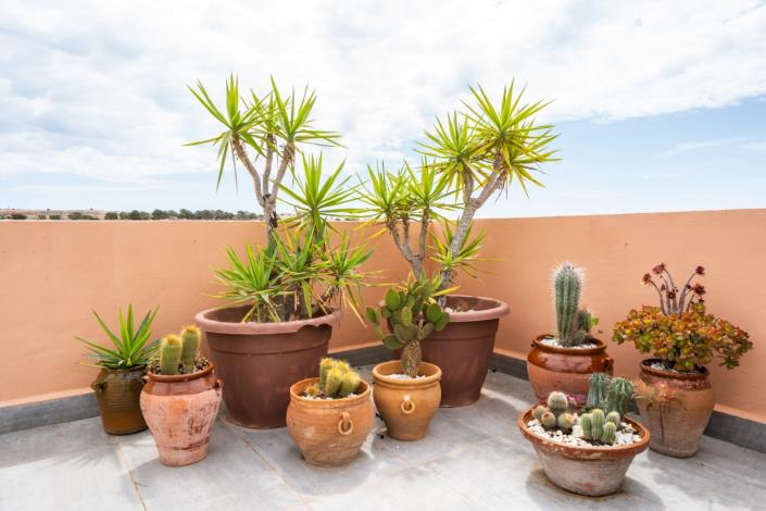 Image No.43-3 Bed Quad for sale