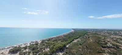 Apartments-for-sale-in-La-Marina-near-the-beach--4---Portals-