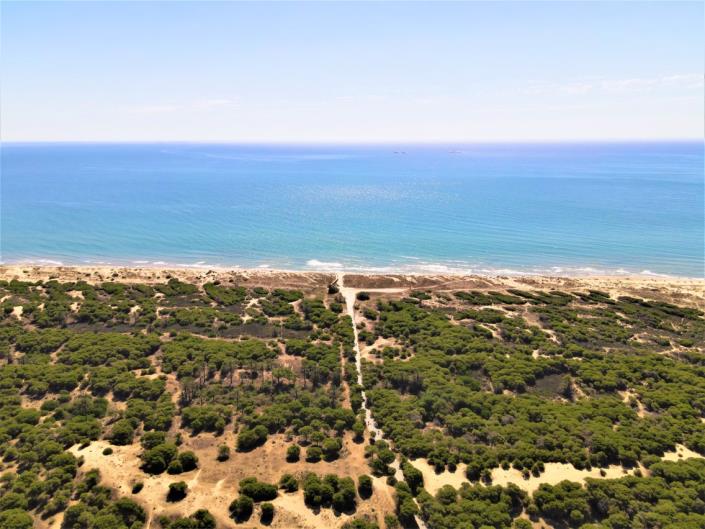 Image No.11-Appartement de 2 chambres à vendre à La Marina Del Pinet