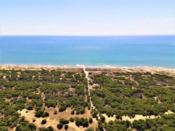 Apartments-for-sale-in-La-Marina-near-the-beach--10---Portals-