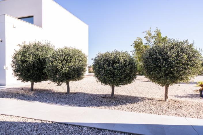 Image No.39-3 Bed Villa for sale