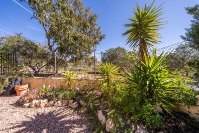 Detached-property-for-sale-in-La-Marina--8---Portals-