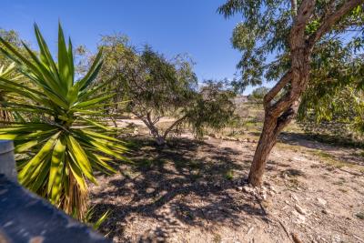 Detached-property-for-sale-in-La-Marina--9---Portals-