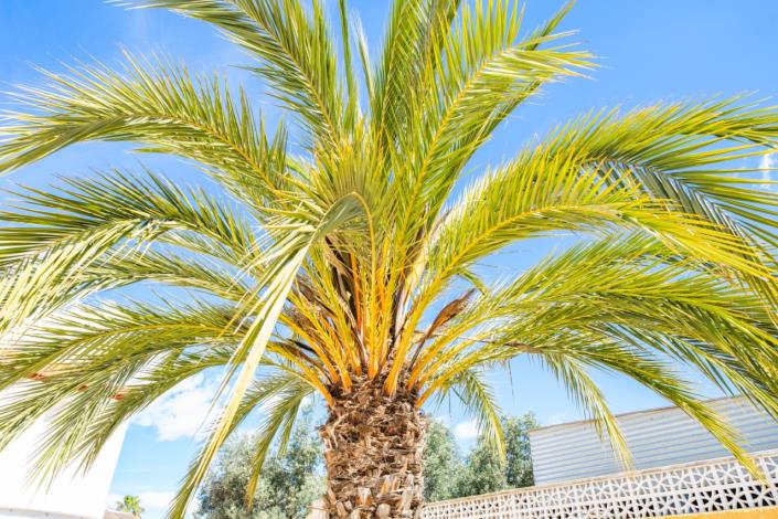 Image No.25-4 Bed Villa for sale