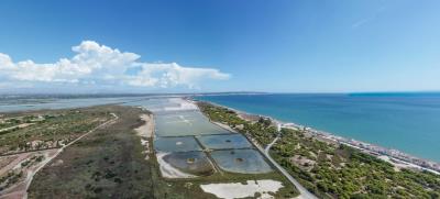 Apartments-for-sale-in-La-Marina-near-the-beach--5---Portals-