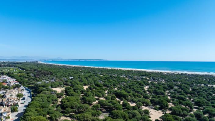 Image No.41-4 Bed Villa for sale