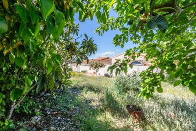 Detached-Villa-for-sale-in-Costa-Blanca--8---Canva-