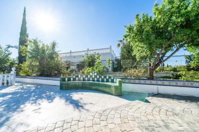 Detached-Villa-for-sale-in-Alicante--8---Canva-