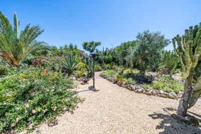 Detached-Villa-for-sale-in-Costa-Blanca--6---Canva-