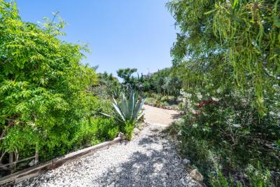 Detached-Villa-for-sale-in-Costa-Blanca--7---Canva-