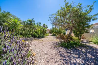 Detached-Villa-for-sale-in-Costa-Blanca--8---Canva-