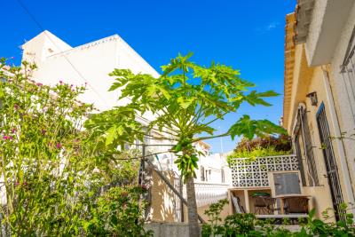 Terraced-Property-for-Sale-in-La-Marina--4---Canva-