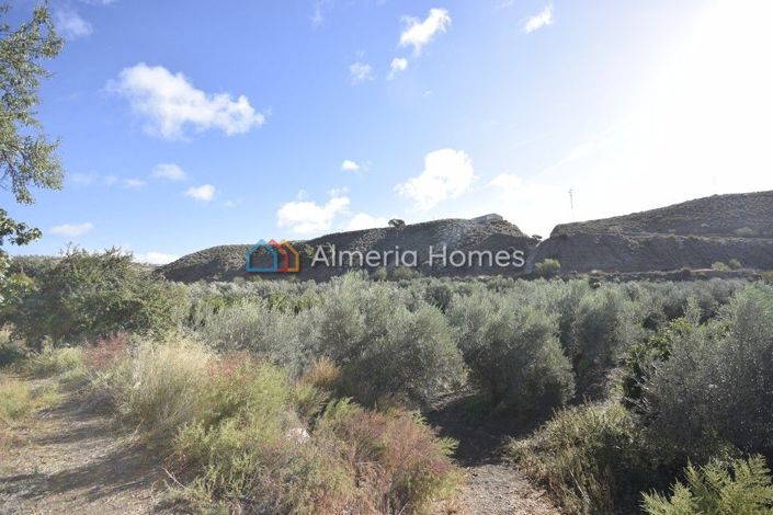 Image No.6-6 Bed Country House for sale