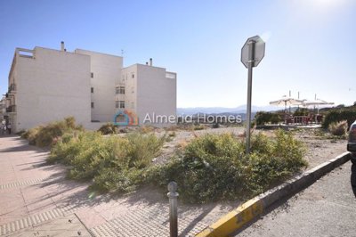 1 - Albox, Terre