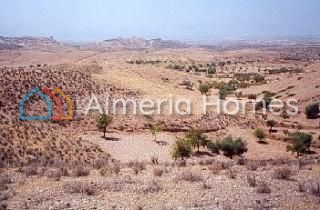 1 - Albox, Terre