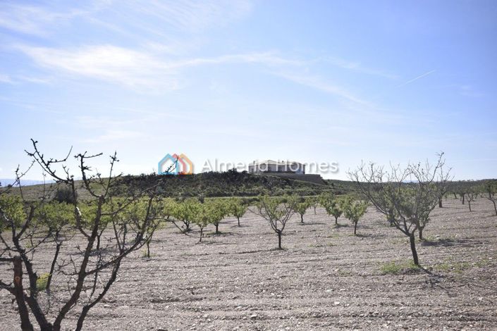 Image No.15-Villa de 4 chambres à vendre à Albox