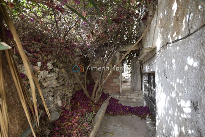 Image No.29-3 Bed Townhouse for sale