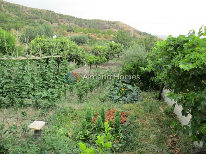 Image No.4-1 Bed Country House for sale