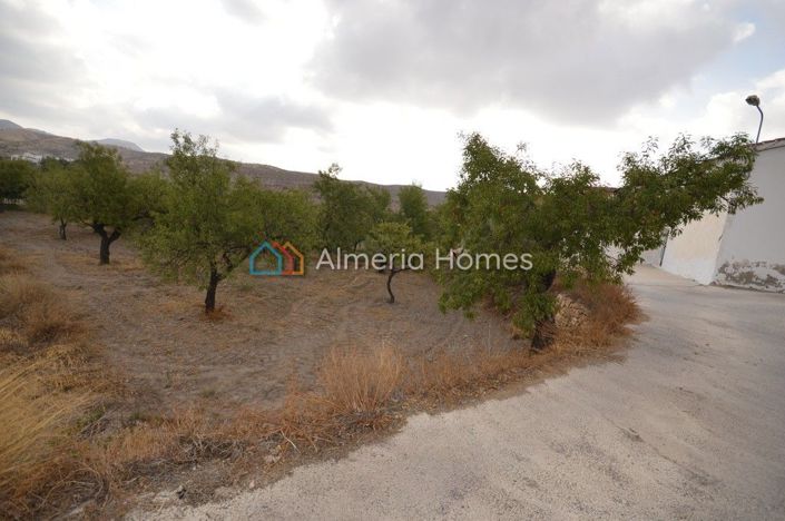 Image No.13-3 Bed Country House for sale