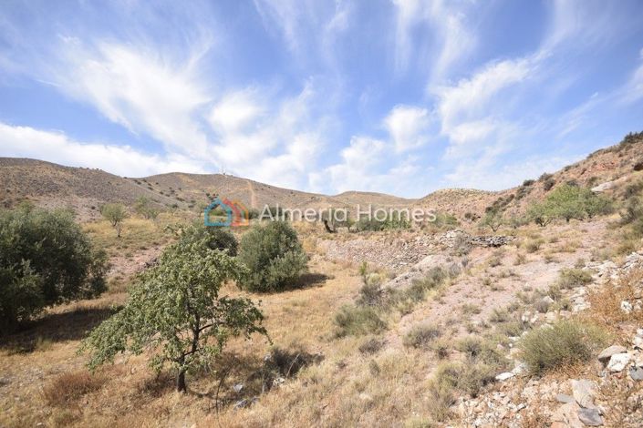 Image No.10-5 Bed Country House for sale