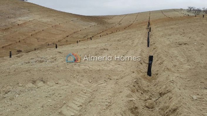 Image No.2-Land for sale