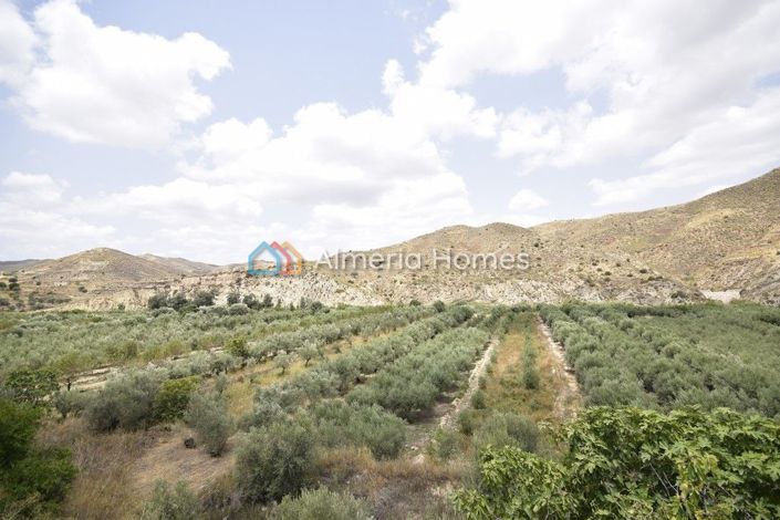 Image No.18-6 Bed Country House for sale