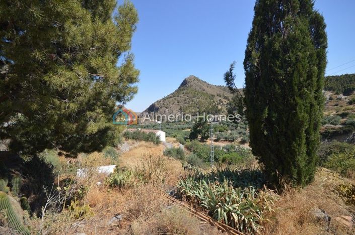 Image No.11-Maison de campagne de 4 chambres à vendre à Oria