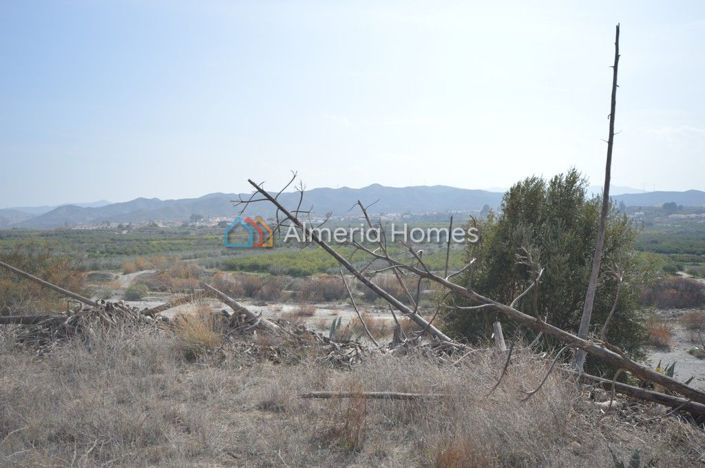 Image No.4-Maison de campagne de 3 chambres à vendre à Arboleas