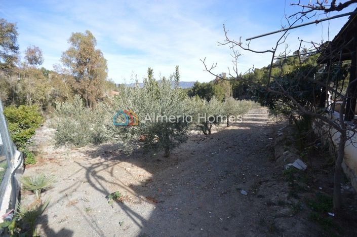 Image No.12-3 Bed Country House for sale