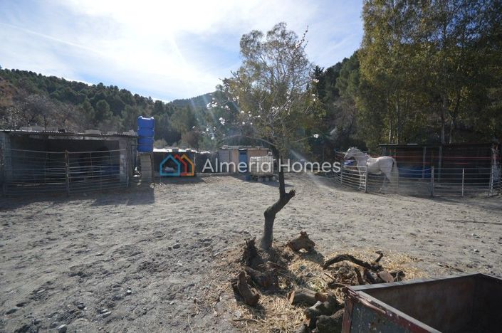 Image No.14-3 Bed Country House for sale