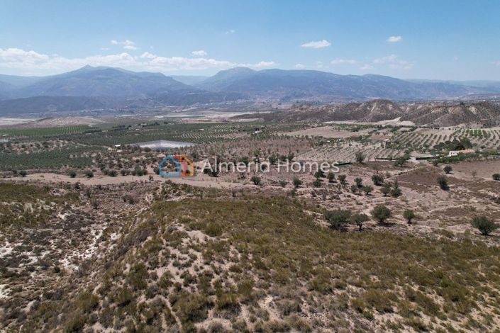 Image No.5-6 Bed Country House for sale