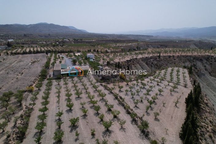 Image No.17-3 Bed Villa for sale