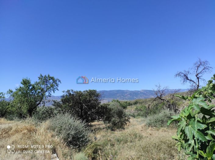 Image No.11-5 Bed Country House for sale