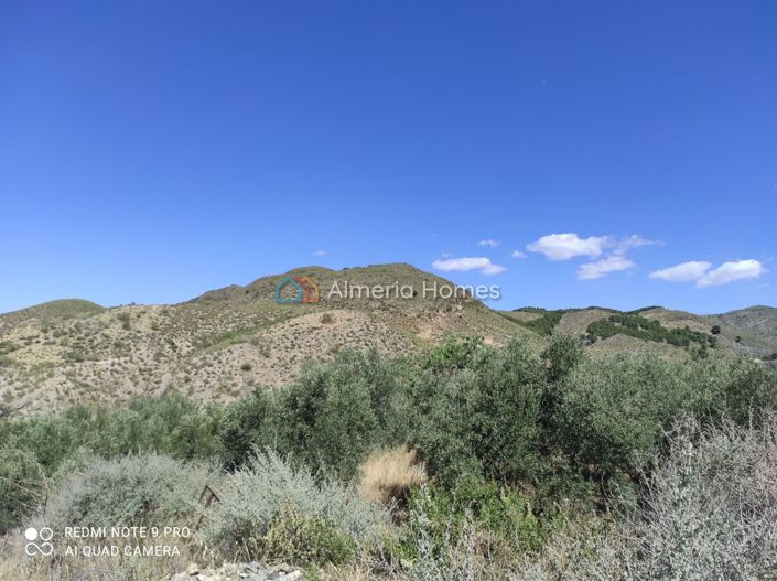 Image No.18-5 Bed Country House for sale