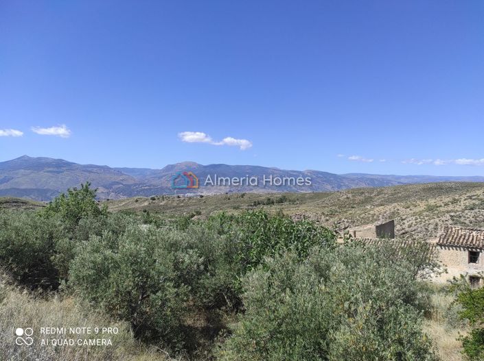 Image No.25-5 Bed Country House for sale