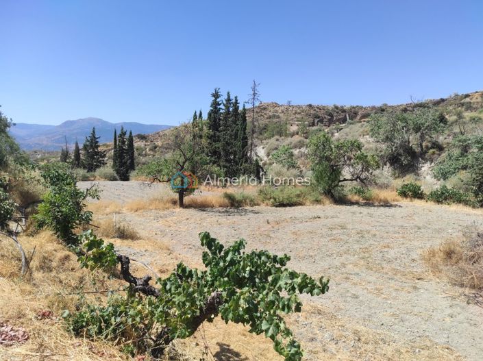 Image No.10-1 Bed Country House for sale