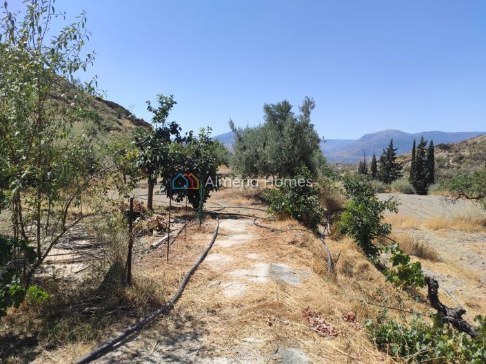 Image No.11-1 Bed Country House for sale