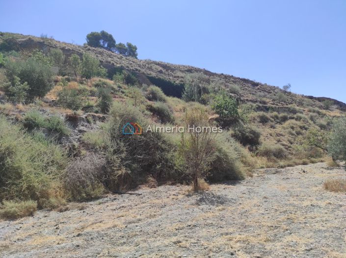 Image No.13-1 Bed Country House for sale