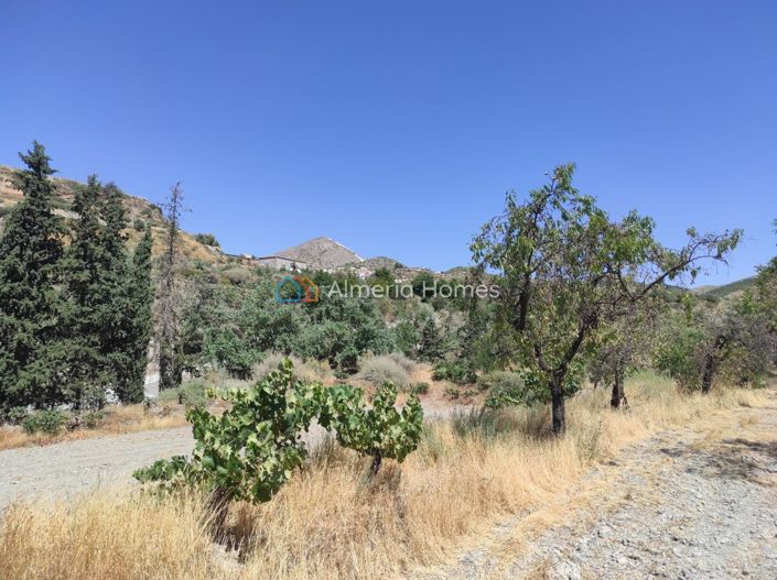 Image No.15-1 Bed Country House for sale