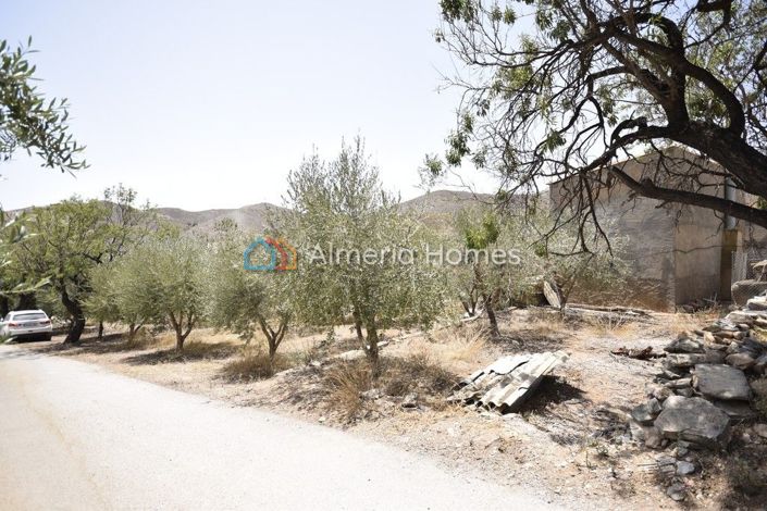 Image No.19-3 Bed Country House for sale