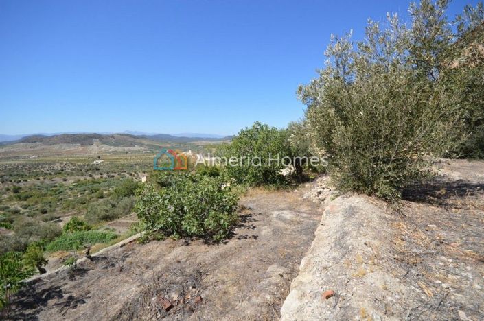 Image No.5-3 Bed Country House for sale