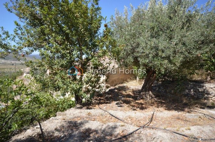 Image No.6-3 Bed Country House for sale