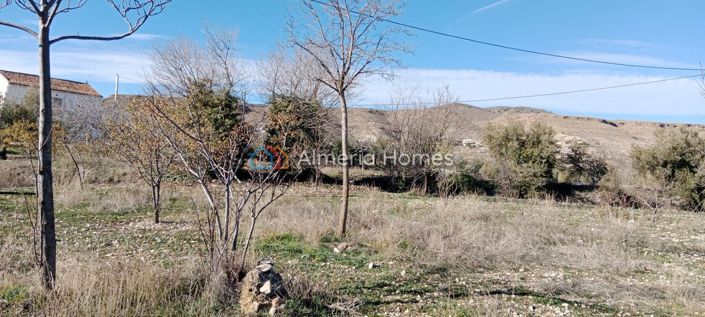 Image No.23-3 Bed Country House for sale