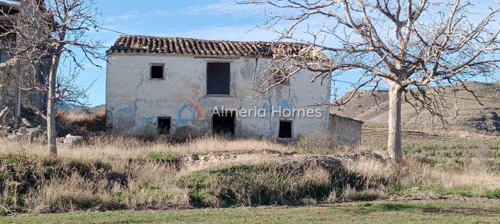 Image No.24-3 Bed Country House for sale