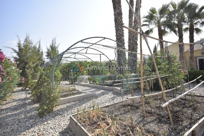 Image No.18-Villa de 3 chambres à vendre à Albánchez